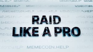 raid like a pro