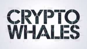 crypto memecoin whales